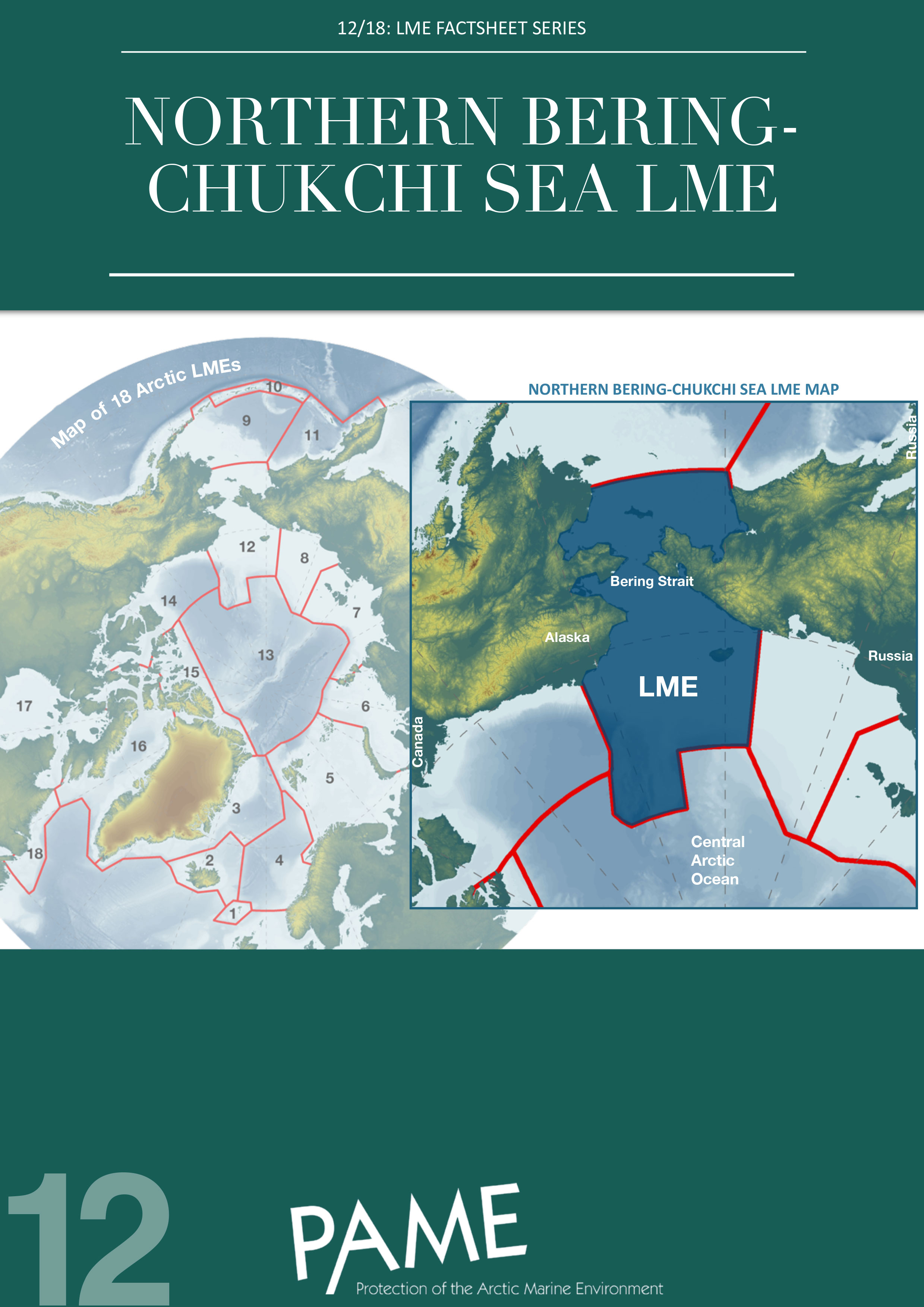 12 Northern Bering Chukchi Sea LME
