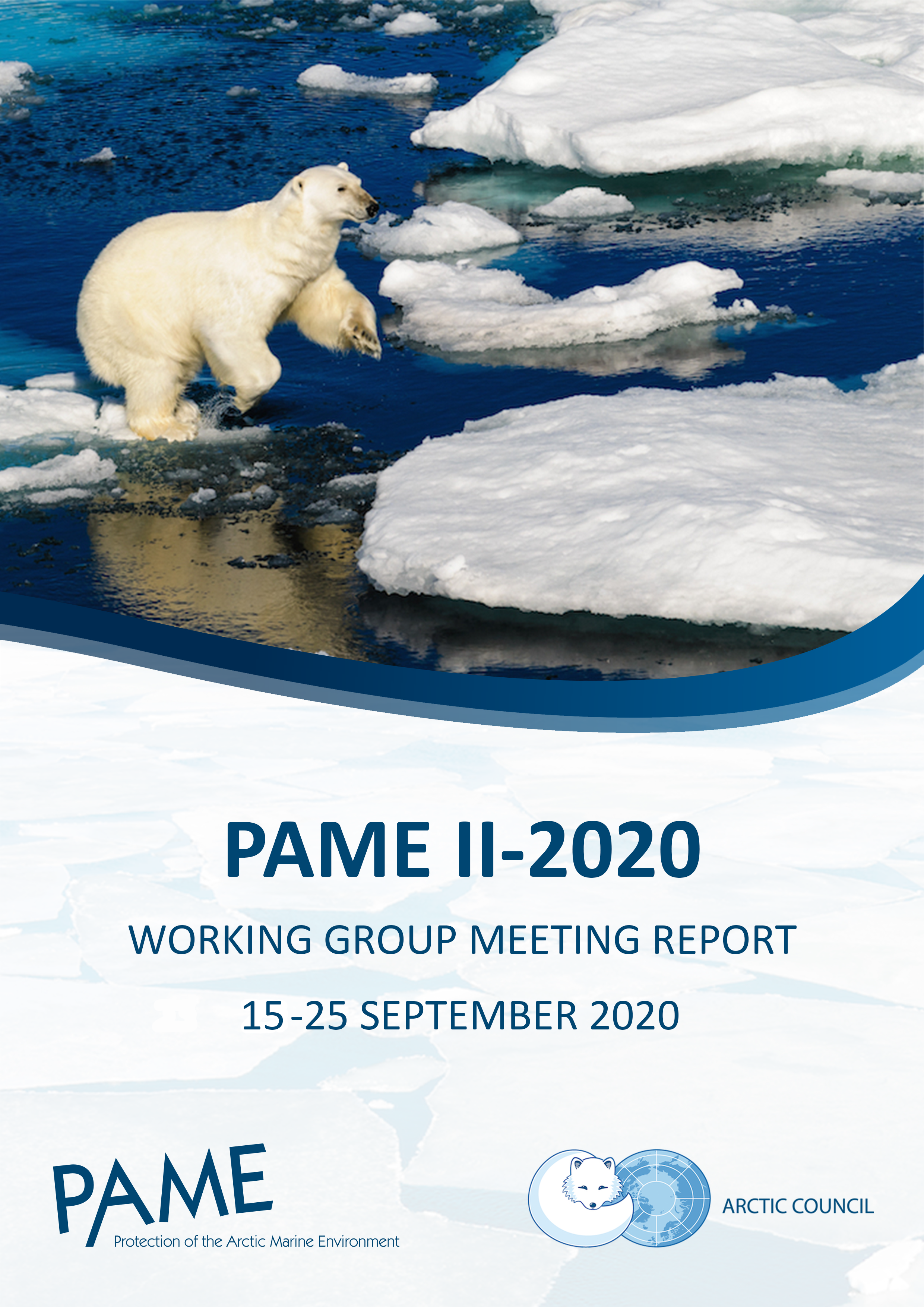PAME II 2020 PAME Meeting Report