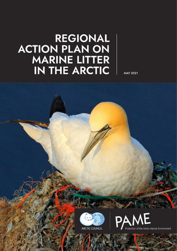 Regional Action Plan on Marine Litter in the Arctic
